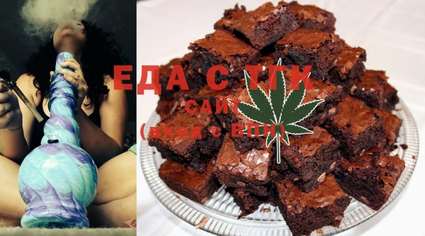 индика Ельня
