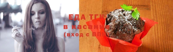 гидра Каменка