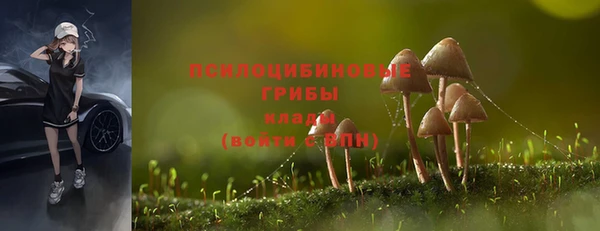 apvp Белокуриха