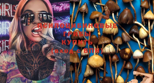 apvp Белокуриха