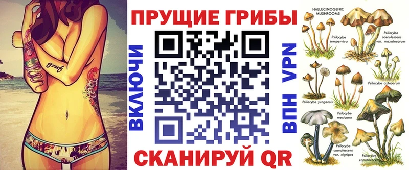 Псилоцибиновые грибы GOLDEN TEACHER  Онега 